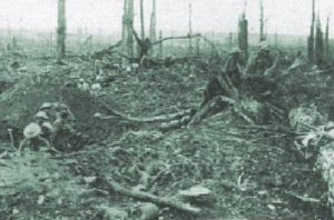 PT-Delville_Wood-1916