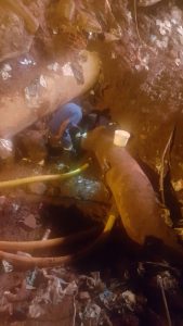 Kimberley Water Shutdown - Bultfontein Foto
